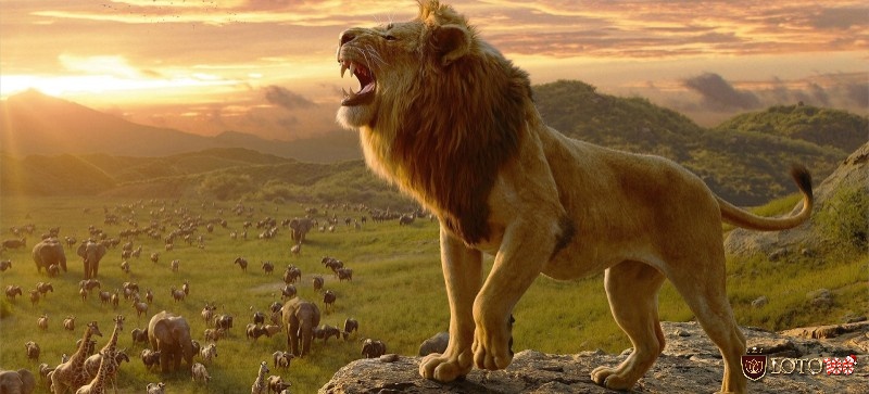 Nằm mơ thấy con sư tử vàng thì đó là điềm báo may mắn