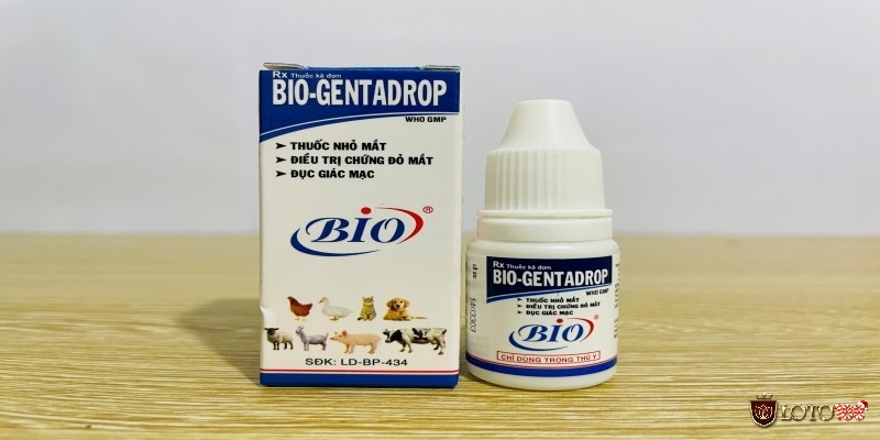 Cách chữa gà chọi bị mù mắt: Dùng thuốc nhỏ mắt bio- gentadrop