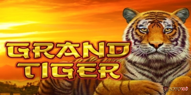 Grand Tiger là một trò chơi có chủ đề châu Á với hình ảnh chú hổ dũng mãnh