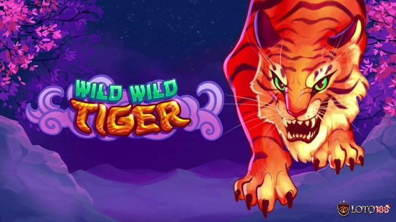 Cùng LOTO188 review slot game Wild Wild Tiger nhé!