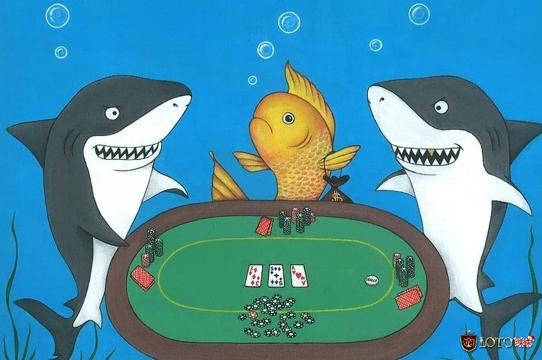 Tìm hiểu thông tin về Fish trong Poker